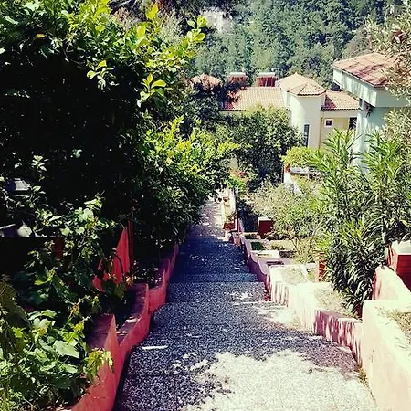 Willa Haftalik Aylik Kiralik Havuzlu Mustakil Marmaris